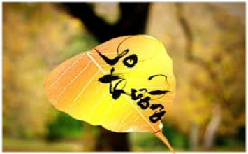 Vô thường con đường dẫn đến giải thoát